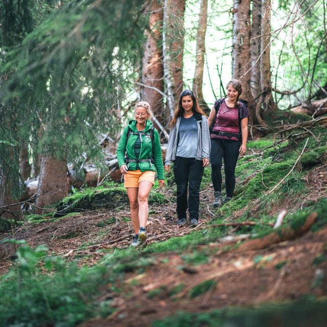 Randonnées accompagnées dans le Val d'Arly