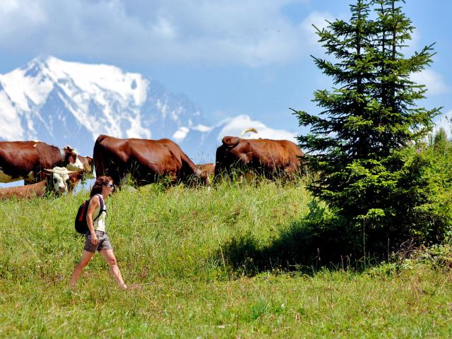 Randonner dans les alpages du Val d'Arly