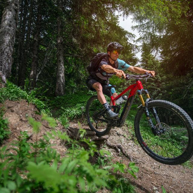 VTT enduro dans le Val d'Arly