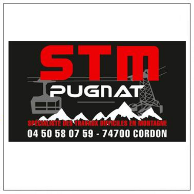 Logo Stm Pugnat