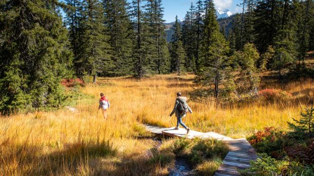 Visite guidée du sentier des Arpelières à Crest-Voland / Cohennoz