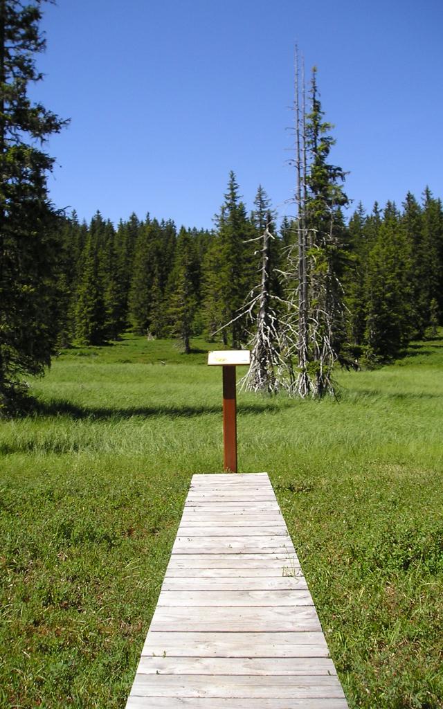 Tourbière des Saisies – Beaufortain – Val d’Arly