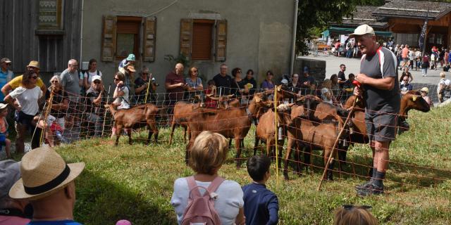 Fête Des Alpagistes au coeur du village de La Giettaz