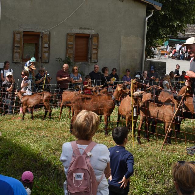 Fête Des Alpagistes au coeur du village de La Giettaz