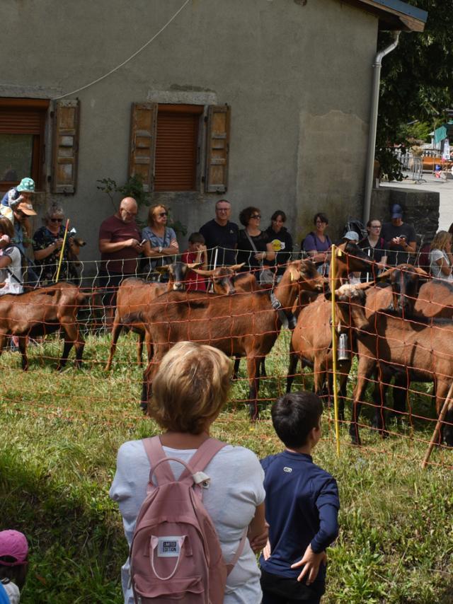 Fête Des Alpagistes au coeur du village de La Giettaz