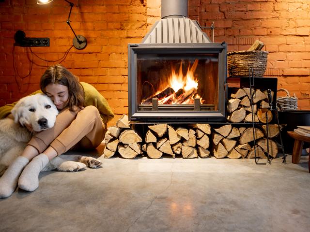 Hébergement qui accepte les chiens dans le Val d'Arly