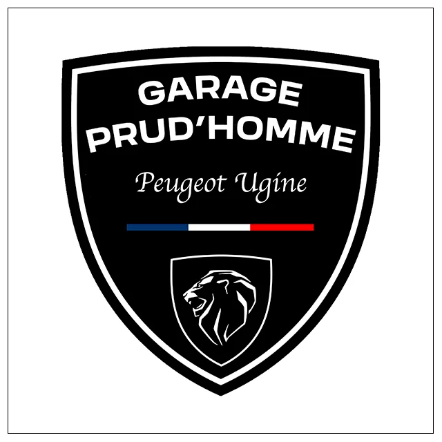 Garage Prud'Homme partenaire du Val d'Arly Street Art Festival 2025